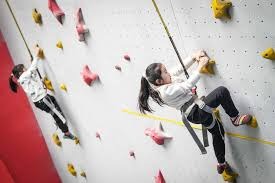 羽毛球——全英公开赛：刘圣书／谭宁无缘女双决赛